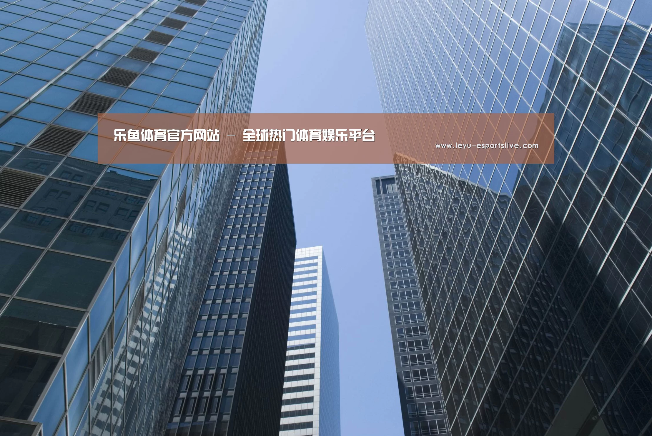 乐鱼真人娱乐公司简介 