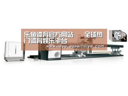 视频展示一