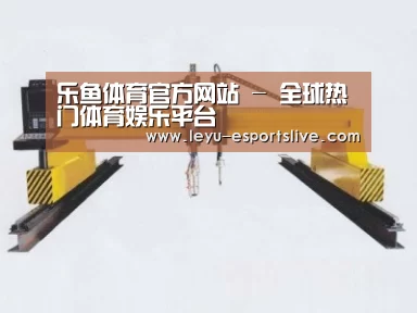 产品名称十七