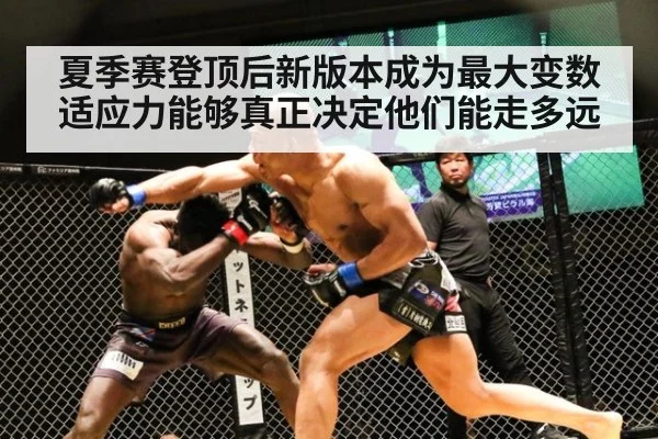 夏季赛登顶后新版本成为最大变数适应力能够真正决定他们能走多远