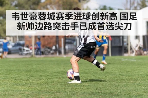 韦世豪蓉城赛季进球创新高 国足新帅边路突击手已成首选尖刀
